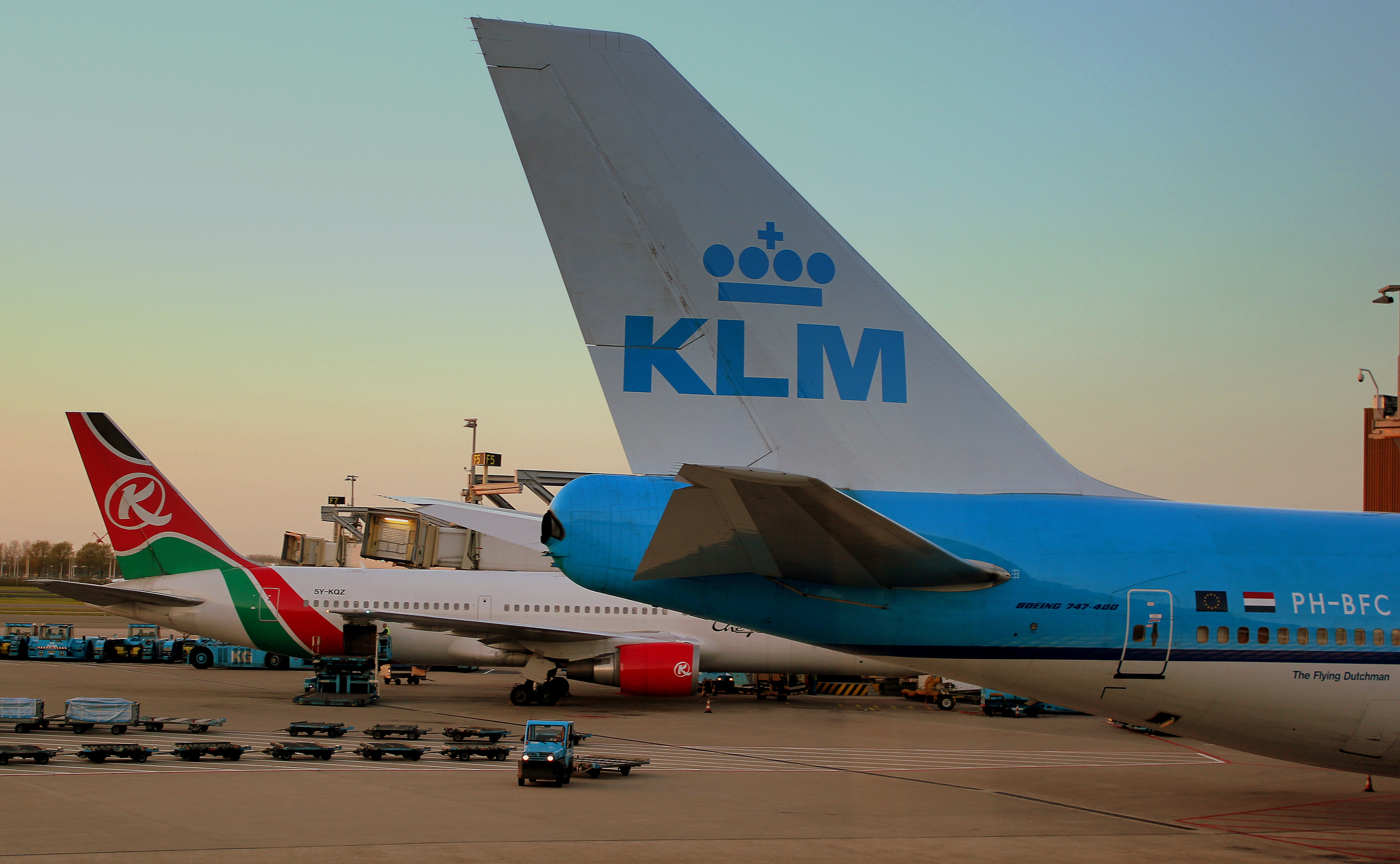 Hond klaagt KLM aan om vertraging